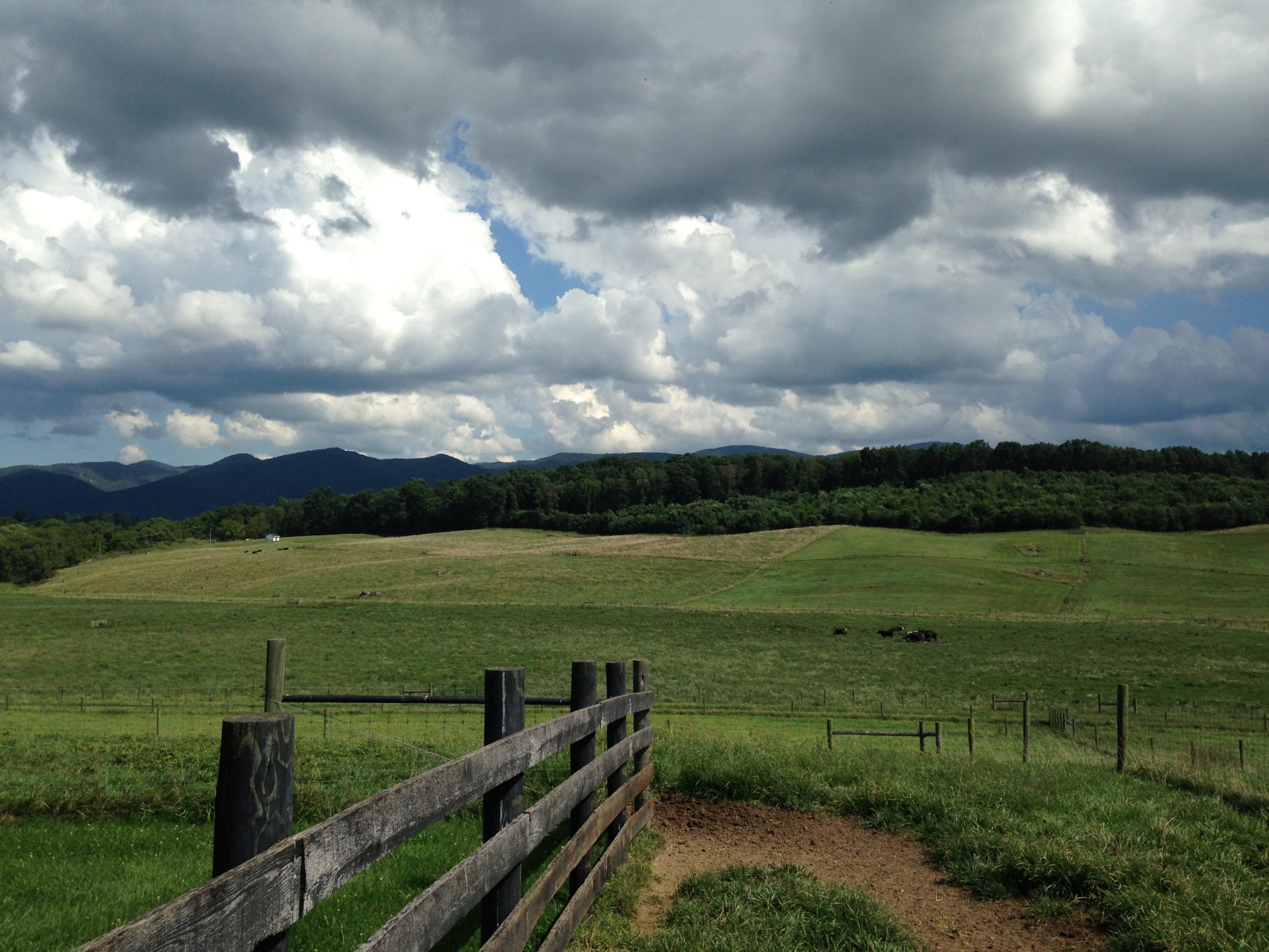 Union County Union County