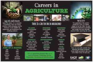 Careers
