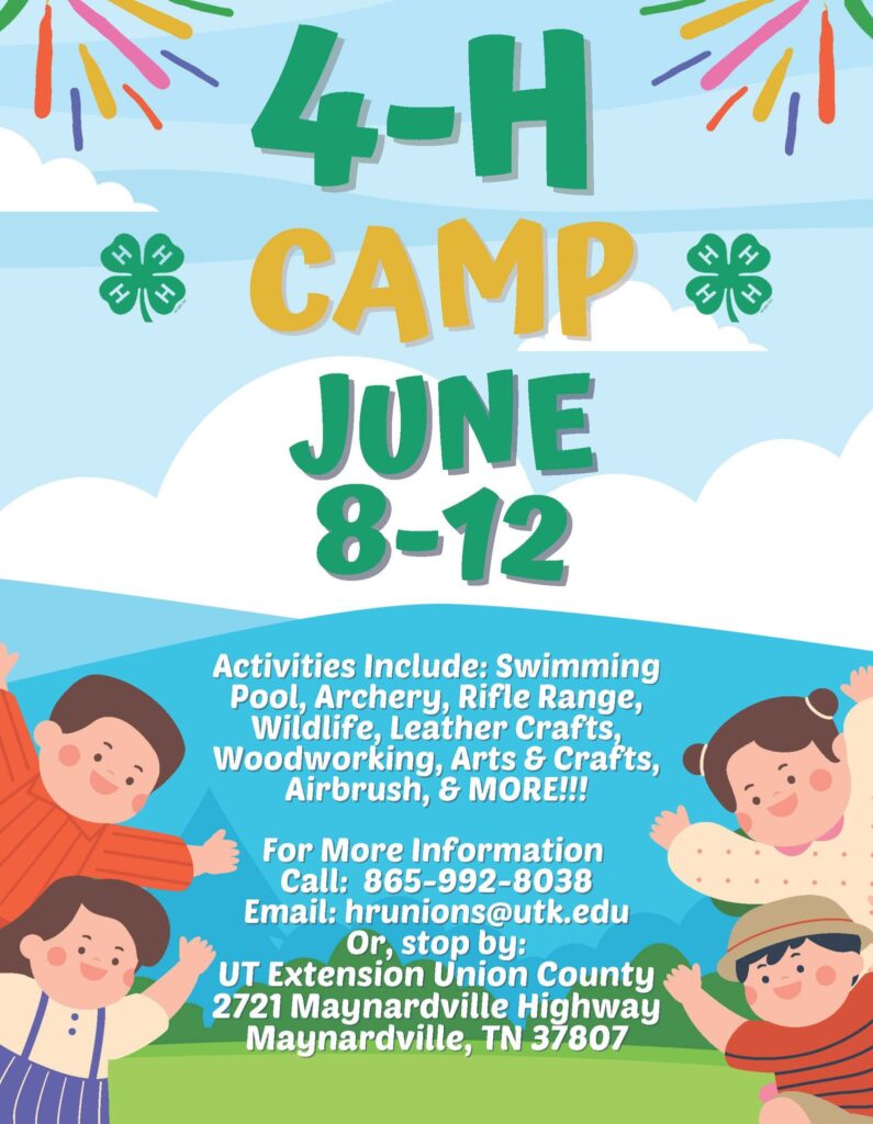 4-H Summer Camp