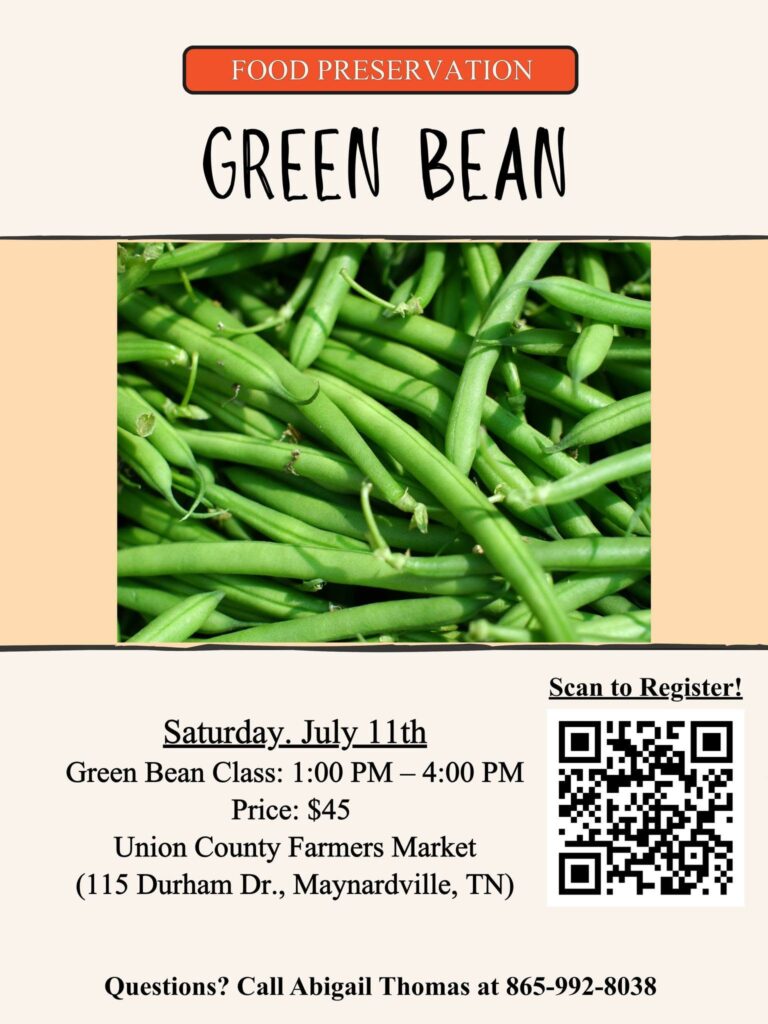Green Beans