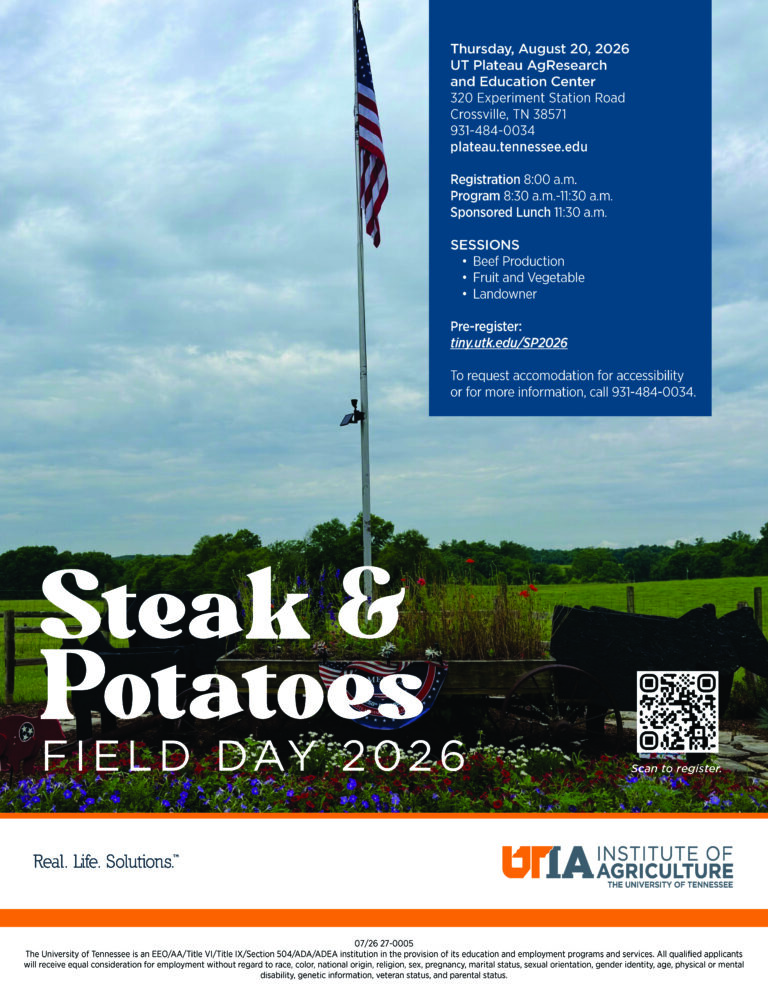 Steak & Potatoes