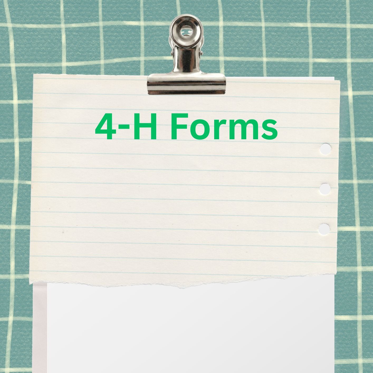 4-H Forms 
