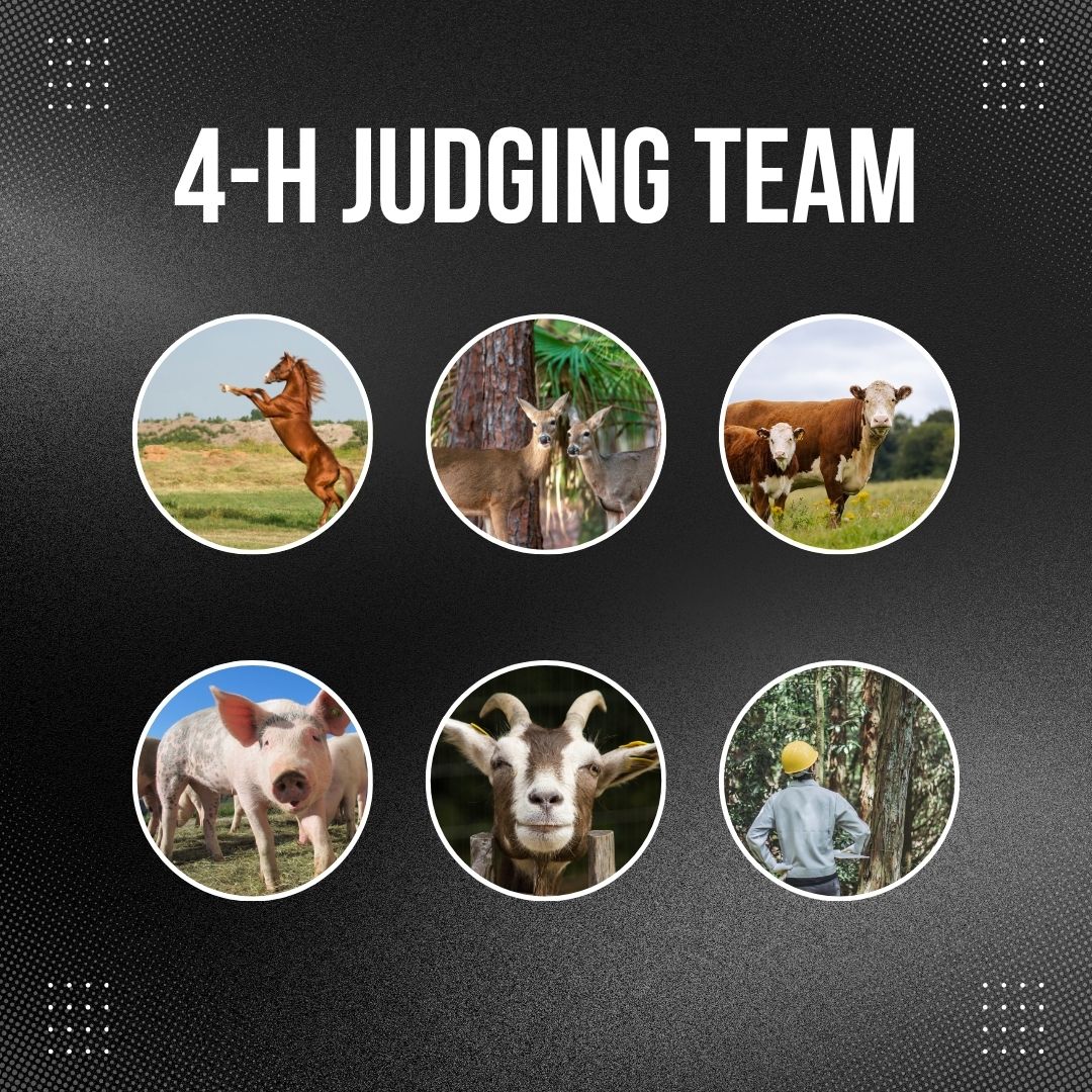 4-H Judging Team 